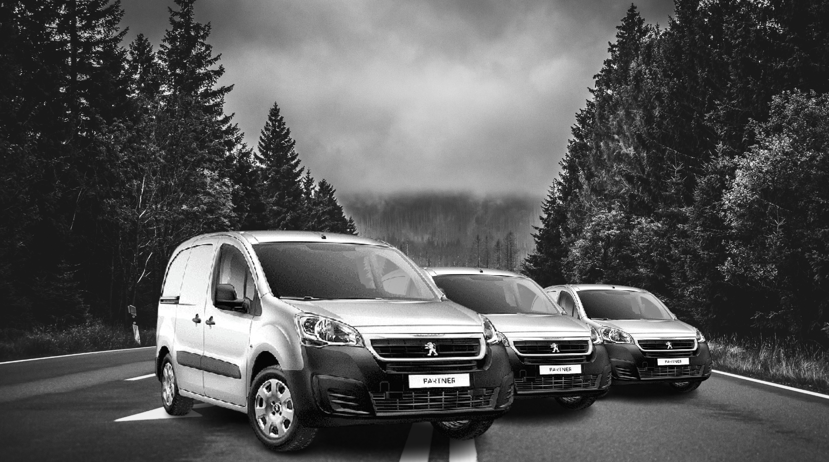 tRANSORTAMOS CONFIANZA (5)